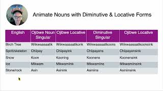 Nouns with Diminutives and Locatives [upl. by Auos]