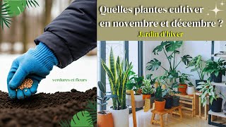 Plantes à Cultiver en Novembre et Décembre  Guide Pratique pour un Jardin Dhiver débutants [upl. by Medin]