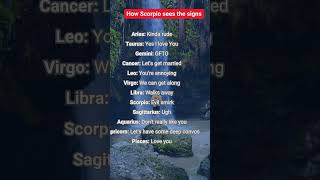 How Scorpio sees the signs astrology zodiasigns birthsigns horoscopes automobile [upl. by Tergram835]