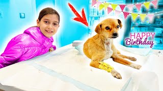 👧🏻 TEO Salvează un CĂȚEL 🐶 CADOU de ZIUA Ei 🎁 LA MULTI ANI TEO 🥳 [upl. by Olsen156]