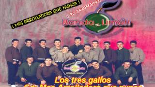 Los tres gallos  La Arrolladora Banda el Limón [upl. by Osbert]