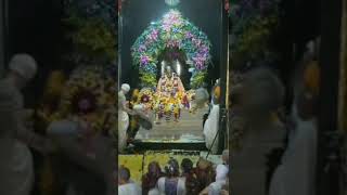 Srila Prabhupada Samadi in Vrindavan🙏🙌🙇‍♀️🌷 [upl. by Grimbald]