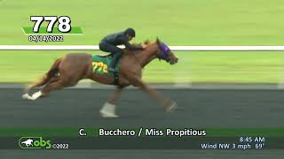 Hip 778 at OBS April 2022  Bucchero  Miss Propitious 2020 [upl. by Asereht587]