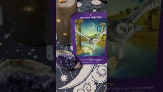 Time for stillness ✨ tarot oracle spiritualguidance [upl. by Alius]