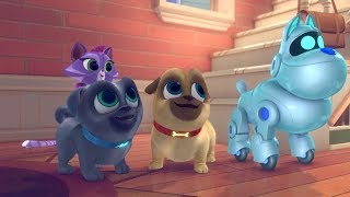 Puppy Dog Pals Full Episodes E02  The French Toast Connection amp Take Me Out to the Pug Game [upl. by Teerell]