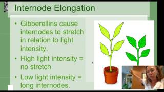 Plant Growth Regulators What are Plant Hormones Horticulture 101 Series [upl. by Edas]