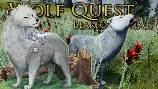 Strange SCENTS of Danger on the Wind 🐺 Wolf Quest Bearfoot Wolves • 19 [upl. by Erdried]