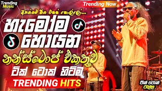 2024 New Sinhala Songs  හැමෝම හොයන  Trending Nonstop Collection 2024  Best Songs Nonstop [upl. by Nosniv]