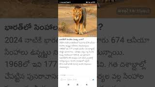 indian lion population Shorts Short Viral TeluguAUTOnews Telugu reels [upl. by Karole]