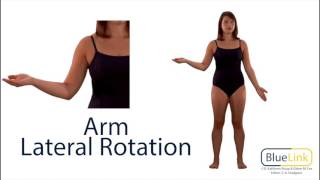 Arm Medial and Lateral Rotation [upl. by Eissirc]