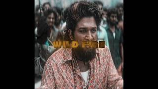 Wild Fire 🔥 alluarjun pushpa2 pushpa [upl. by Herson501]