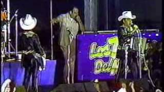 Los Tigres Del Norte  Camisa Mojada En Vivo 1988wmv [upl. by Kalvin185]