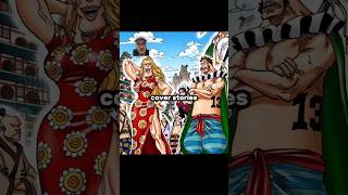 One Piece Cover Stories Pt 13 shorts [upl. by Amling]