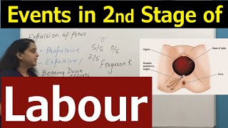 Second Stage of Labour  Events amp Clinical Findings in 2nd Stage of Labour  Nursing Lecture [upl. by Gnuhc368]