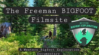 The Freeman BIGFOOT Film Site [upl. by Hanna]