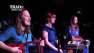 Ævestaden — Evig Gjenkomst — Live at Celtic Connections 2024 Drygate Brewery Glasgow [upl. by Tihw576]