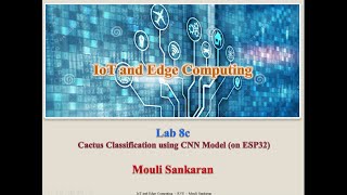 Lab8c Cactus classification CNN Model porting to ESP32 [upl. by Cirek]