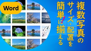 【Word】複数写真の大きさを揃える・配置する方法 [upl. by Wenona]