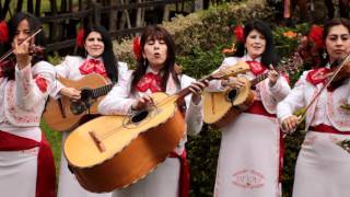 Mariachi Divas de América Mi padre es el mejor [upl. by Danella]