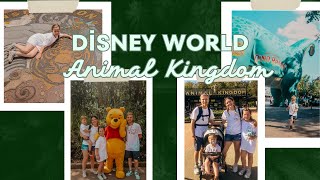 DISNEY WORLD  animal kingdom  2024  first trip to Disney World [upl. by Enitsuga964]