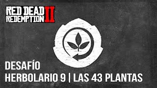 Red Dead Redemption 2  Desafío Herbolario 9  Las 43 Plantas [upl. by Sig]