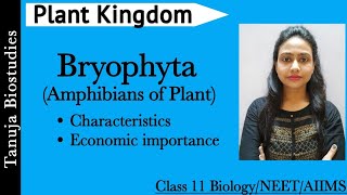 Plant Kingdom  Bryophyta  Characteristics and Economic Importances  Class 11 BiologyNEETAIIMS [upl. by Maffa]