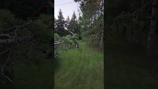 Backyard Zipline [upl. by Nebe]