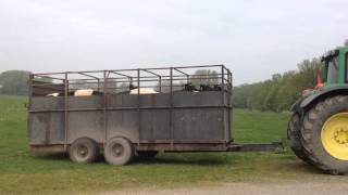 Lakenvelders op landgoed Heerlijkheid Mariënwaerdt [upl. by Enylcaj]