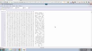 Using a Hex Editor [upl. by Annwahs575]