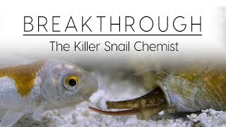 Breakthrough The Killer Snail Chemist [upl. by Huntingdon]