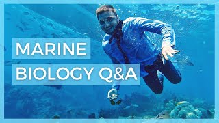 12 Things every future Marine Biologist should know about  marine biology qampa for 3000 subs [upl. by Avitzur]