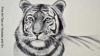 How to Draw a Tiger  Tiger Head With Marker [upl. by Edurtreg219]