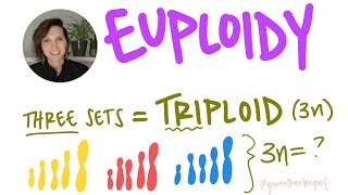 What is euploidy What is haploid diploid triploid n 2n 3n College Biology AP Biology [upl. by Hahsia]