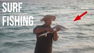 SURF FISHING PANAMA CITY BEACH SHARK POMPANO LADYFISH… [upl. by Jerrine801]