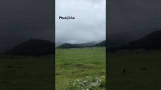 punakha bhutan phobjikha [upl. by Ruyam336]