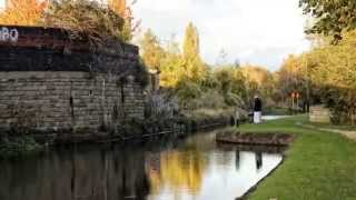 Sheffield Canal Walk [upl. by Schaumberger]