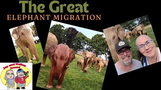 Exploring The Great Elephant Migration Exhibit in Newport Rhode Island [upl. by Faustina962]