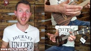 Der perfekte Moment  Max Raabe  Ukulele Tutorial  Chris Bruns Musikschule  Ukulele lernen [upl. by Peria]