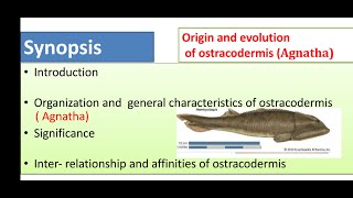 Origin evolution and general characters of Agnatha Ostracoderms and CyclostomesMsc zoology final [upl. by Naellij355]