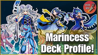 Marincess Deck Profile Septiembre 2023 yugiohcards yugiohcardgame yugiohtcg [upl. by Krystin]