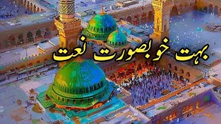 تم آقا اور میں غلام 🌺 بہت خوبصورت نعت 🌺 Tum aqa awr me gulam🌺 [upl. by Pacian]