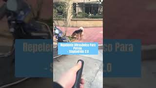 Repelente ultrasónico de perros evita mordidas [upl. by Adey]