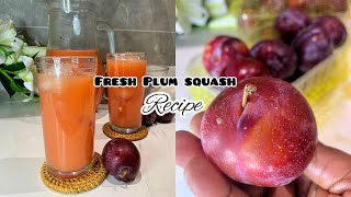 THIS IS A BETTER WAY TO INDULGE PLUM HOW TO MAKE PLUM JUICEPLUM SQUASHviralvideos juice [upl. by Haroppizt]