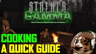 Cooking in Stalker GAMMA [upl. by Boeschen]