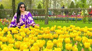 Keukenhof tulip gardens 2023 walking tour Netherlands [upl. by Yna]