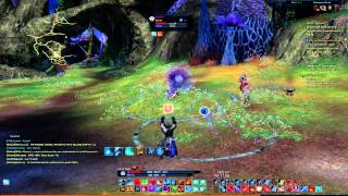 Tera Online Sorcerer vs Slayer Sorc and Berserker [upl. by Dara]