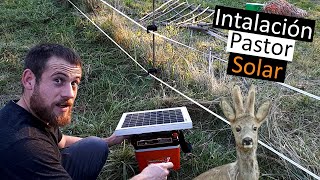 Cómo Instalar PASTOR SOLARELECTRICO⚡💥🐗contra jabalíes y corzosproceso completoEp 282020 [upl. by Nnylakcaj]