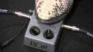 ROSS gray box Compressor guitar pedal demo with Strat amp Plexi [upl. by Agnola575]