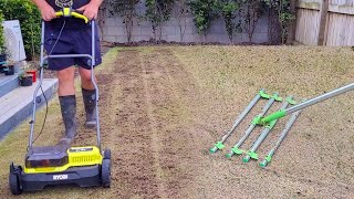 Ryegrass Lawn Scarify and Sand Topdress after Scalping [upl. by Eelyrag]