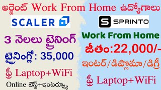 Latest Work From Home Jobs Telugu  Private Jobs  12th pass Jobs  Telugu WFH Jobs 2024 [upl. by Ahso662]